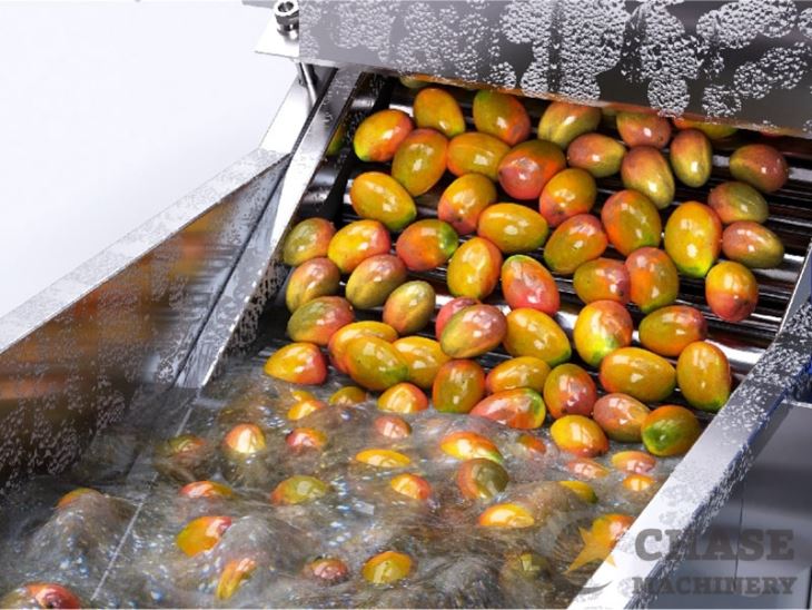 Jalur Pengolahan Mangga